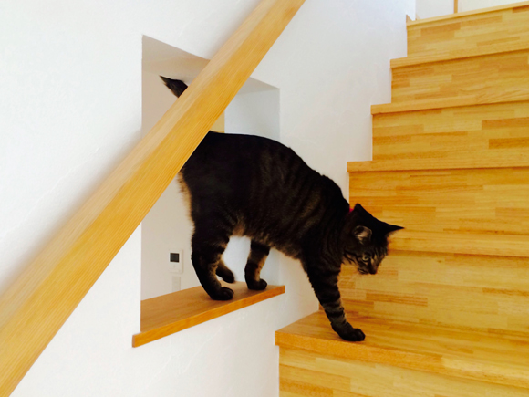 東京都竹ノ塚の家