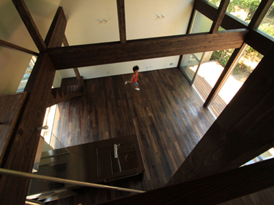 北の常緑ハウス