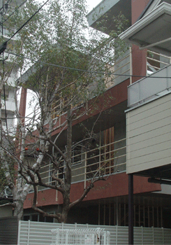 船橋・中山の家