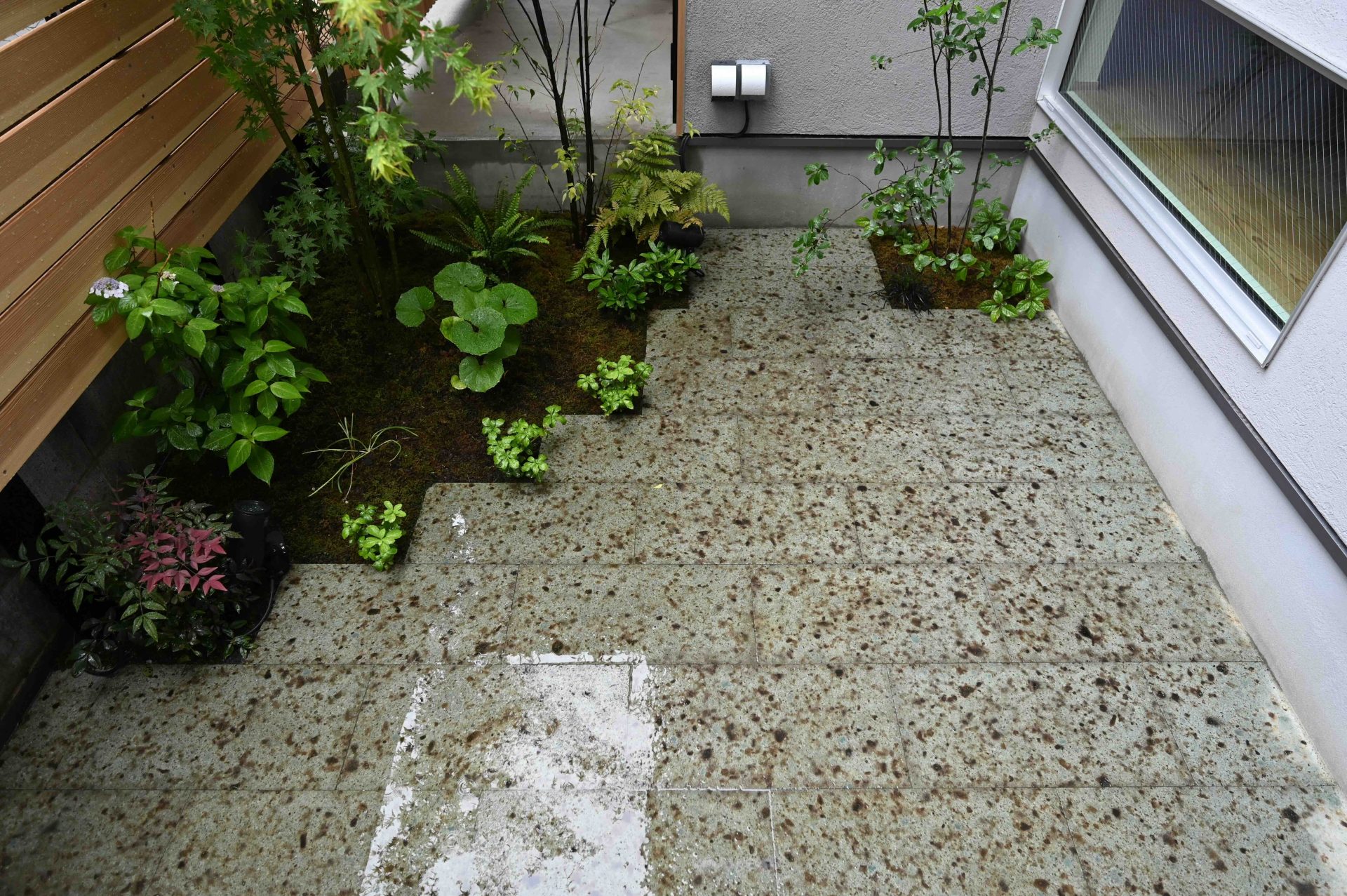 美しい中庭と吹き抜けのある家　山とつながる家づくり